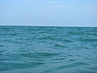 Big Oil, Paying for the Dead Image